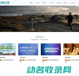 大浪科技(武汉)有限公司 大浪科技(武汉)有限公司
